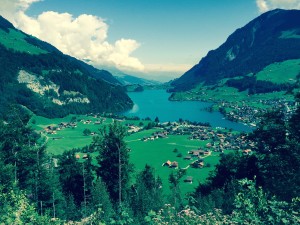 IMG_6563